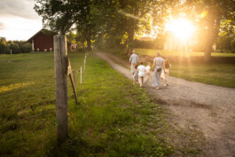 Fotografie, Grafikdesign Salzburg